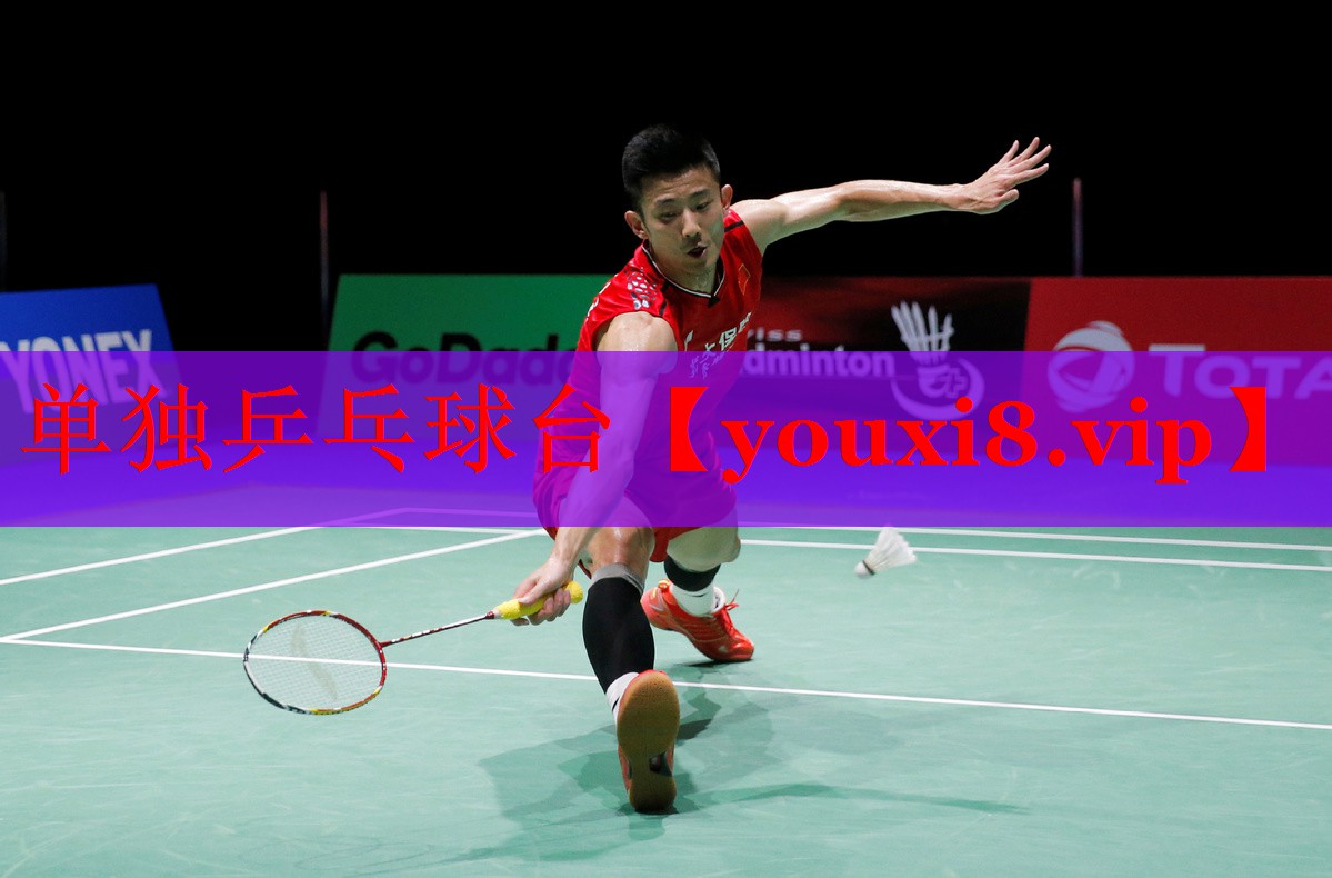单独乒乓球台