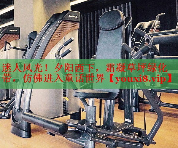 迷人风光！夕阳西下，霜凝草坪绿化带，仿佛进入童话世界