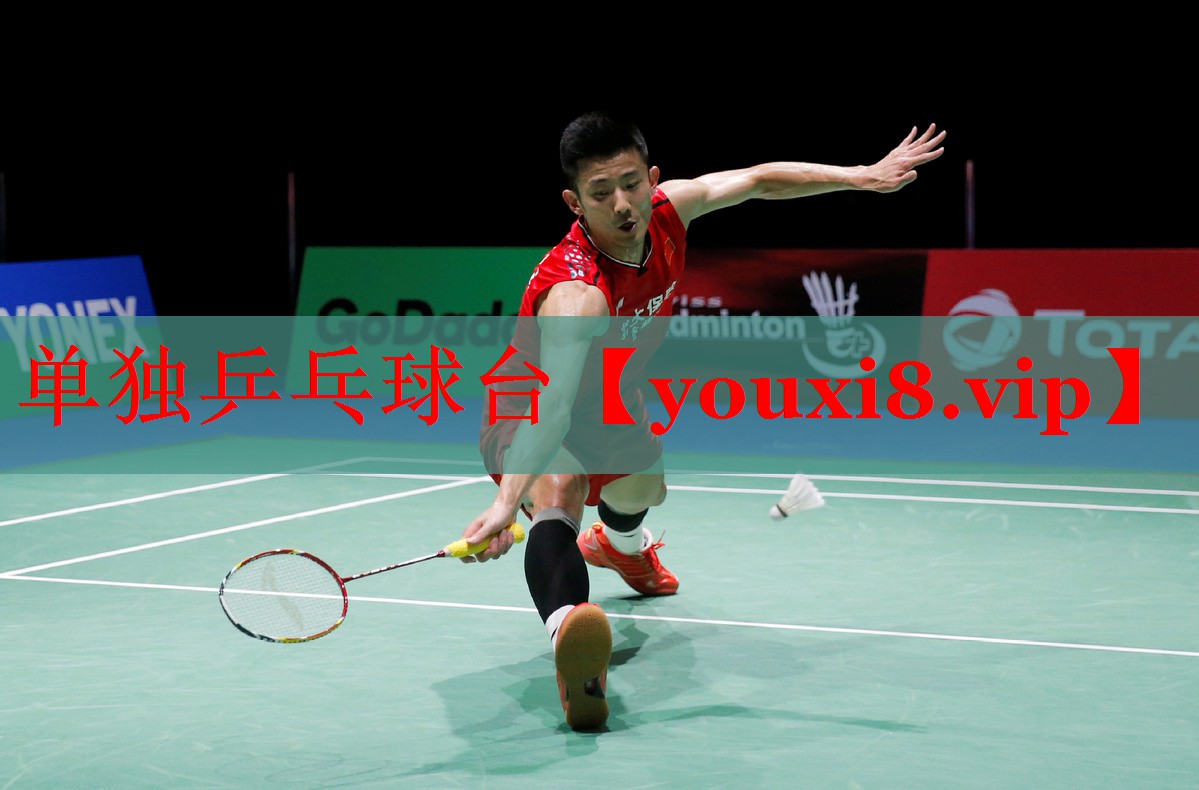 单独乒乓球台